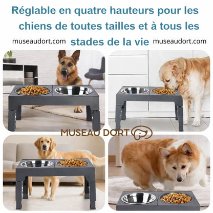 gamelle surélevée pour chien réglable en quatre hauteurs adaptée aux chiens de toutes tailles Museau Dort