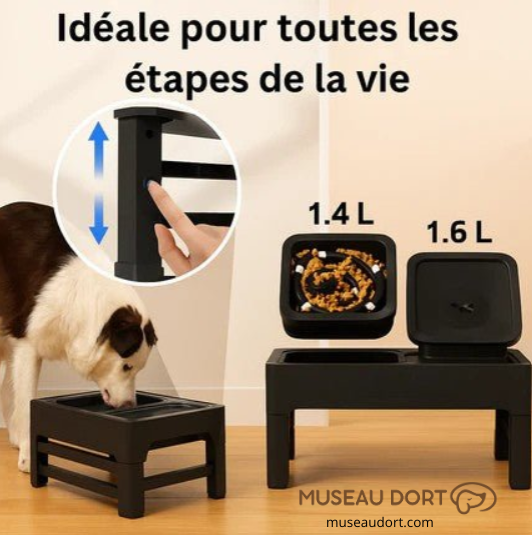 Gamelle surélevée réglable pour chien adaptée à toutes les étapes de la vie avec bols de 1,4 L et 1,6 L, Museau Dort