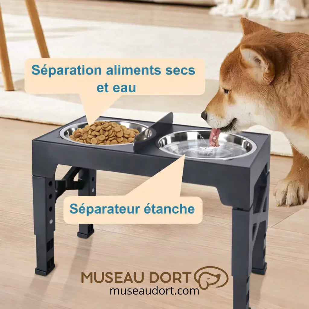 gamelle surélevée pour chien avec séparateur étanche entre eau et croquettes dans la cuisine Museau Dort en France.
