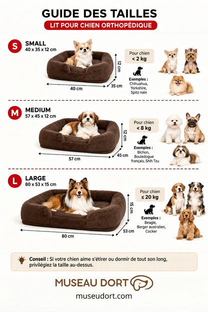 Guide des tailles du lit pour chien orthopédique S, M et L avec dimensions et exemples de races, Museau