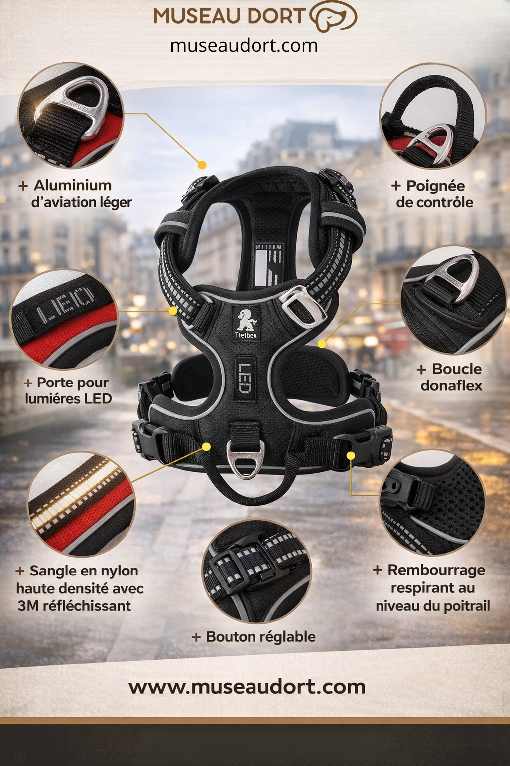 Harnais anti-traction pour chien avec détails techniques, sécurité renforcée et confort respirant Museau Dort