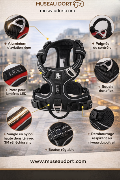 Harnais anti-traction pour chien avec détails techniques, sécurité renforcée et confort respirant Museau Dort
