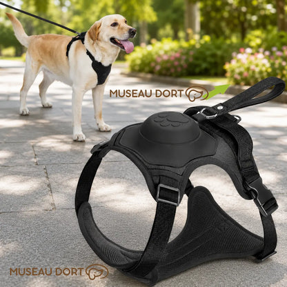 Harnais chien rétractable noir avec laisse intégrée pour promenade au parc