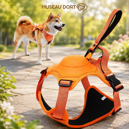 Harnais chien rétractable orange avec laisse intégrée pour promenade au parc