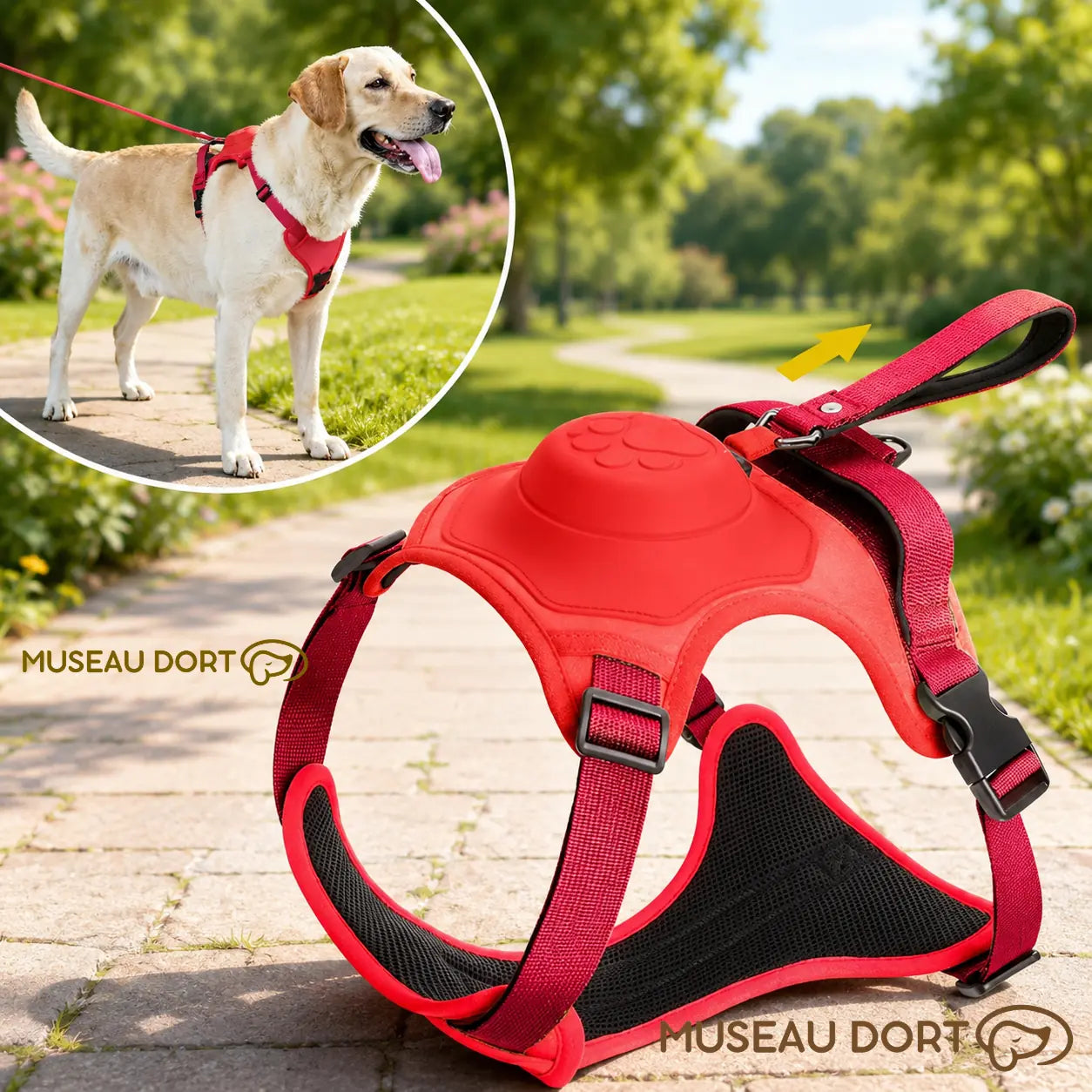Harnais chien rétractable rouge avec laisse intégrée pour promenade au parc
