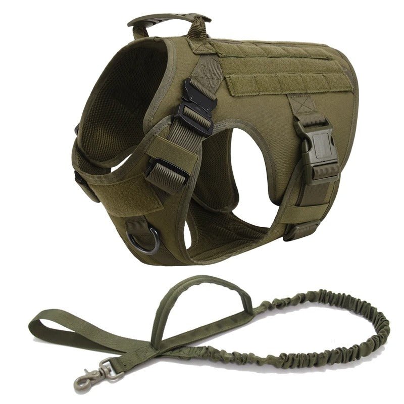 Harnais Tactique pour Chien – Sécurité et Liberté pour Votre Héros ! - Museau dort