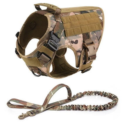 Harnais Tactique pour Chien – Sécurité et Liberté pour Votre Héros ! - Museau dort