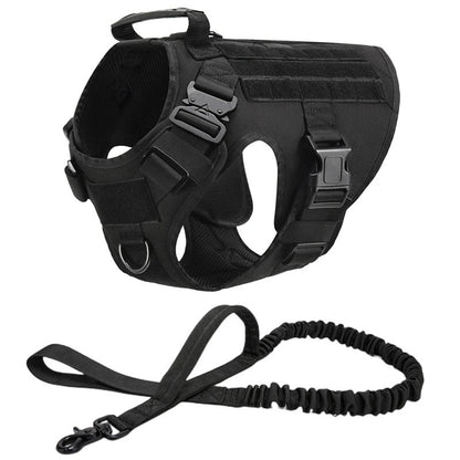Harnais Tactique pour Chien – Sécurité et Liberté pour Votre Héros ! - Museau dort