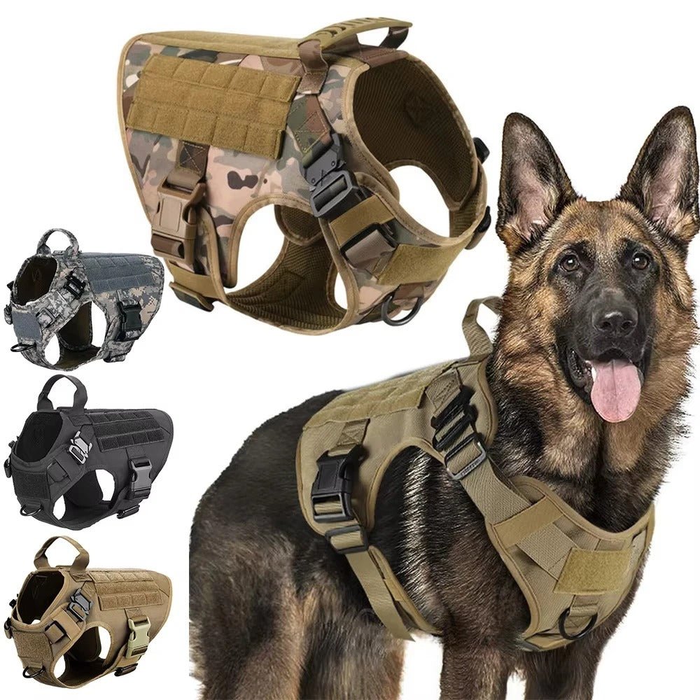 Harnais Tactique pour Chien – Sécurité et Liberté pour Votre Héros ! - Museau dort
