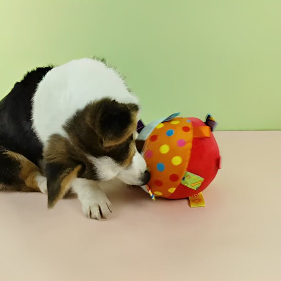 Chiot jouant avec un ballon sensoriel en tissu coloré à pois et rubans. Jouet éducatif et doux. Disponible chez Museau Dort.