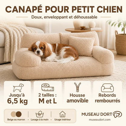 Infographie du canapé beige pour petit chien avec tailles, housse amovible et rebords rembourrés