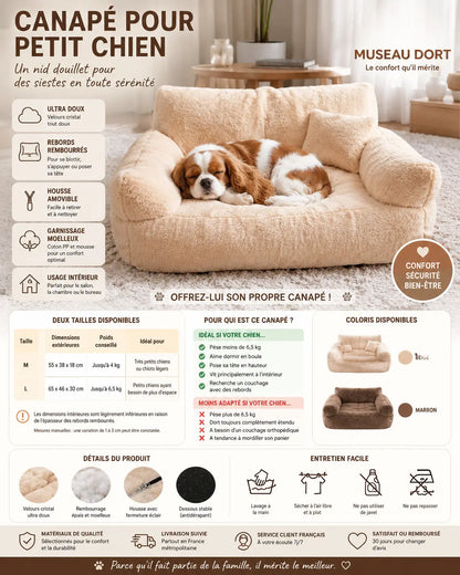 Infographie du canapé beige pour petit chien avec tailles, matières, coloris et conseils d’entretien