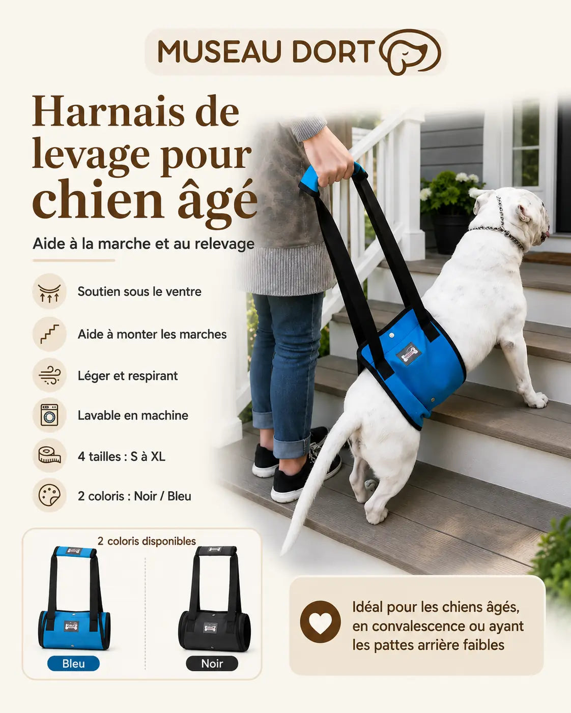 Infographie du harnais de levage pour chien âgé avec tailles, coloris et aide à la marche dans les escaliers