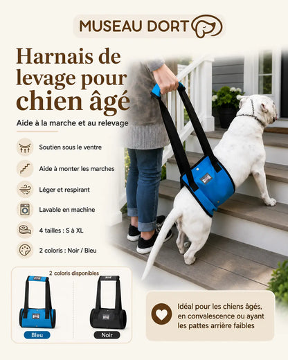 Infographie du harnais de levage pour chien âgé avec tailles, coloris et aide à la marche dans les escaliers
