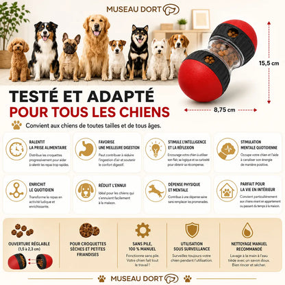Infographie du jouet distributeur de croquettes pour chien avec dimensions, bénéfices et sécurité