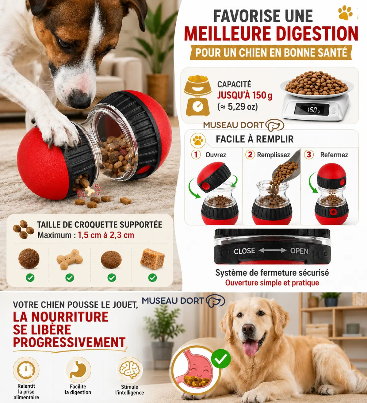 nfographie du jouet distributeur de croquettes pour chien avec repas lent et ouverture facile