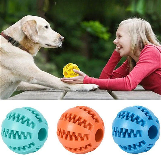 Jouet à Mâcher pour Chien Destructeur – Santé Dentaire et Résistance Naturelle - Museau dort