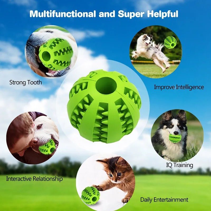 Jouet à Mâcher pour Chien Destructeur – Santé Dentaire et Résistance Naturelle - Museau dort