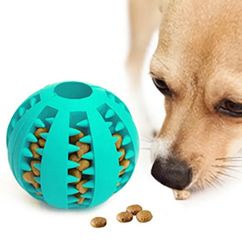 Jouet à Mâcher pour Chien Destructeur – Santé Dentaire et Résistance Naturelle - Museau dort