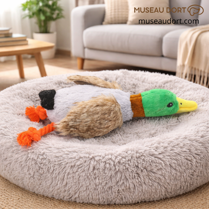 Jouet canard pour chien sur lit gris, stimulant dentaire et ludique. Disponible chez Museau Dort.