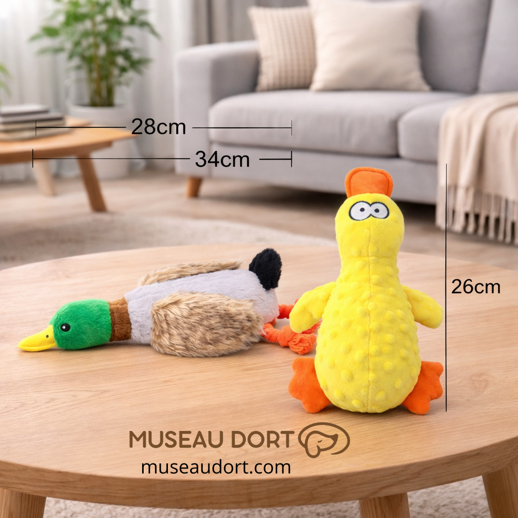 Jouet canard vert et jouet canard jaune pour chien sur table dans salon moderne. Stimulants ludiques et dentaires.