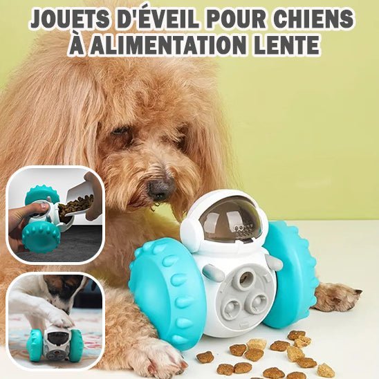 Chien utilisant un jouet distributeur de croquettes pour une alimentation plus lente et une stimulation mentale | Museau Dort