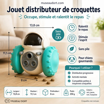 Jouet distributeur de croquettes pour chien avec dimensions et bénéfices