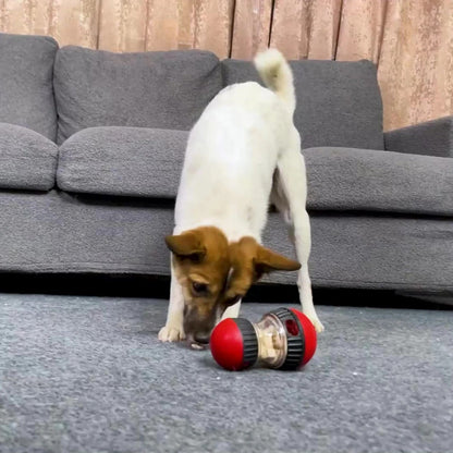 jouet distributeur de croquette pour chien - Museau dort