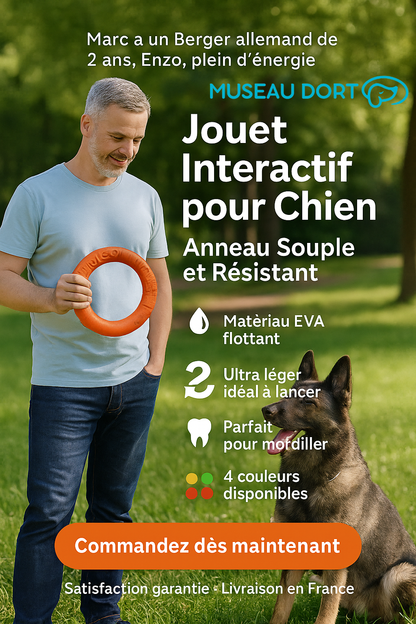 Marc joue avec Enzo, son Berger allemand, avec un jouet interactif pour chien en anneau souple et résistant. Museau Dort