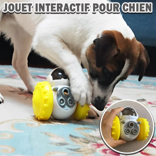 Chien jouant avec un jouet interactif distributeur de croquettes robot jaune, stimulation mentale et plaisir. Museau Dort