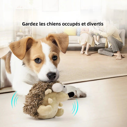 Chien Jack Russell jouant avec un jouet en peluche interactif, idéal pour occuper les chiens en intérieur, Museau Dort