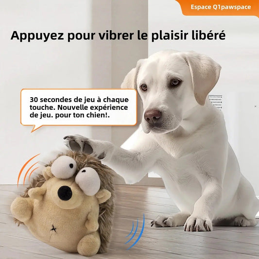 Chien Labrador jouant avec un jouet en peluche interactif, activé au toucher pour stimuler le jeu en intérieur, Museau Dort