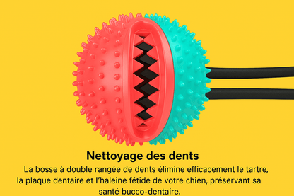 Jouet pour chien ventouse balle à mâcher nettoyante dents – Disponible chez Museau Dort