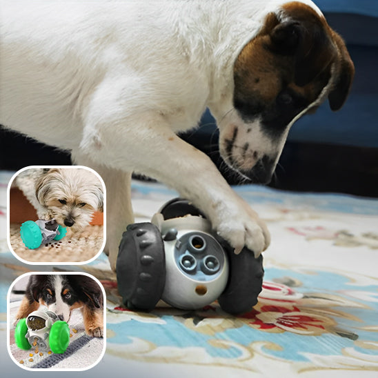 On peut voir un petit Jack Russell jouet avec un distributeur de friandise de style robot avec les roues grise et en médaillon des chiens qui, eux aussi, s'amuse avec le distributeur de croquette . 