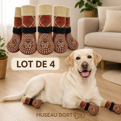 Labrador portant 4 chaussettes antidérapantes marron dans un salon, lot de 4 Museau Dort.