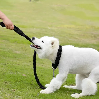 laisse corde pour chien - Museau dort