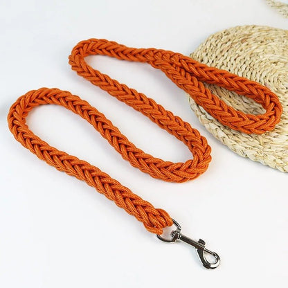 laisse corde pour chien - Museau dort