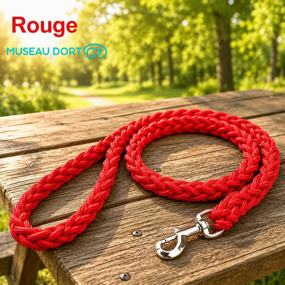 Laisse corde rouge pour chien en nylon tressé de 2 cm posée à plat sur une table de pique-nique