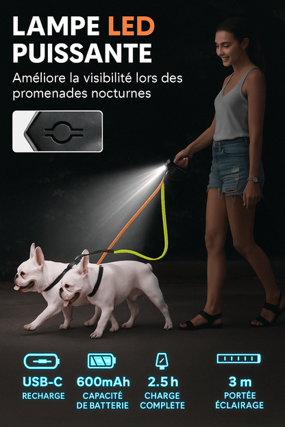 Laisse Double pour Chiens 🐕‍🦺🐕 | Baladez Deux Chiens Sans Nœuds Ni Stress ! - Museau dort