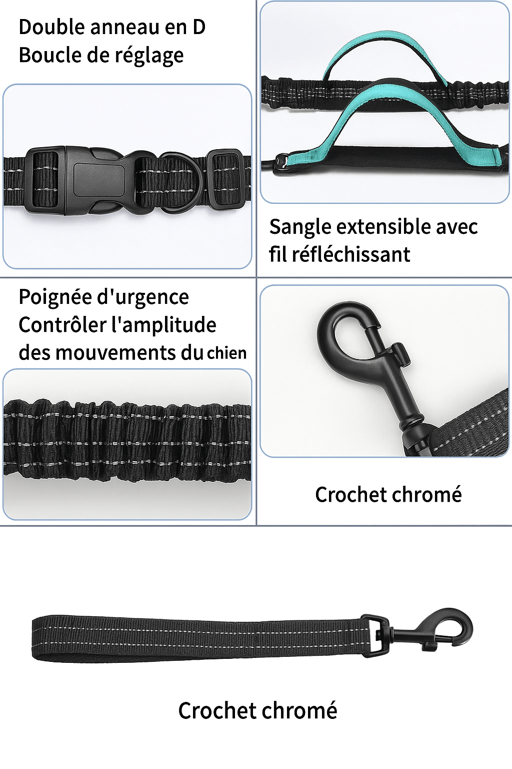 Laisse Main Libre Double Élastique pour Chien 🐕 | Confort, Sécurité et Liberté Totale - Museau dort