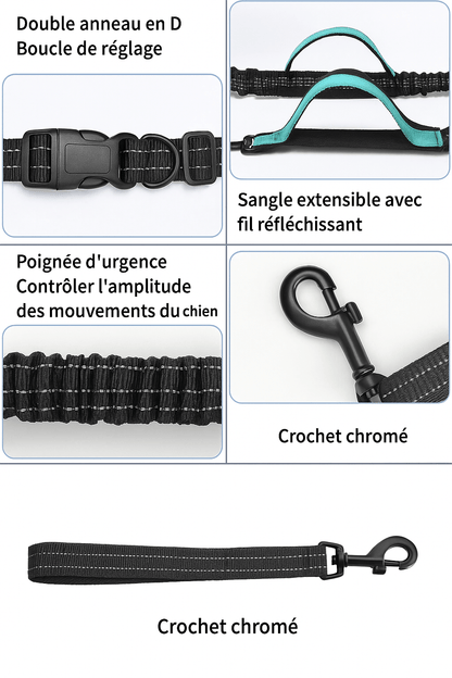 Laisse Main Libre Double Élastique pour Chien 🐕 | Confort, Sécurité et Liberté Totale - Museau dort