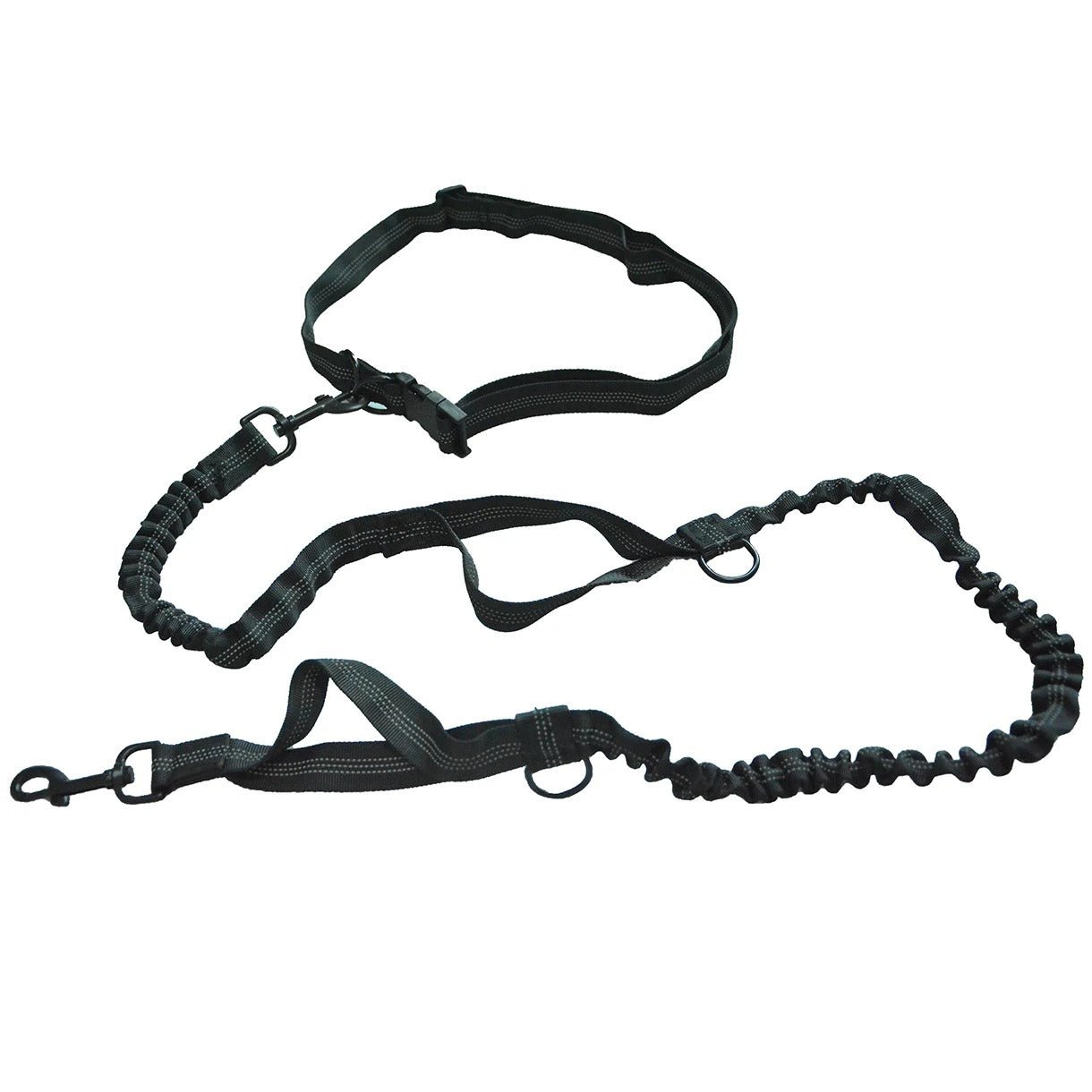Laisse Main Libre Double Élastique pour Chien 🐕 | Confort, Sécurité et Liberté Totale - Museau dort