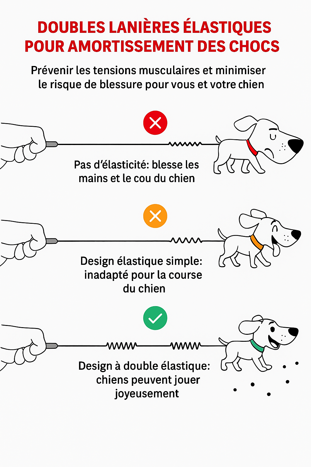 Laisse Main Libre Double Élastique pour Chien 🐕 | Confort, Sécurité et Liberté Totale - Museau dort