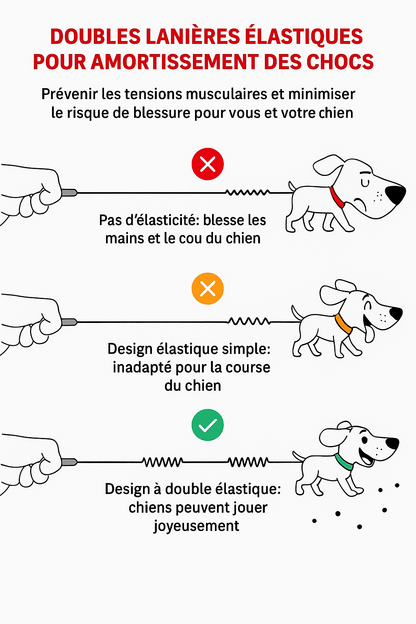 Laisse Main Libre Double Élastique pour Chien 🐕 | Confort, Sécurité et Liberté Totale - Museau dort