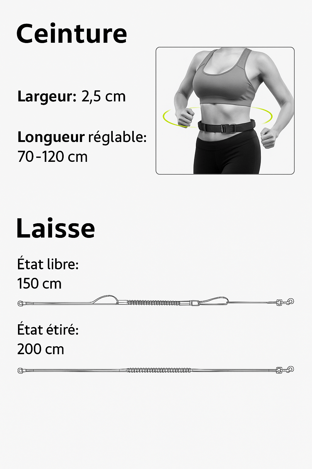 Laisse Main Libre Double Élastique pour Chien 🐕 | Confort, Sécurité et Liberté Totale - Museau dort