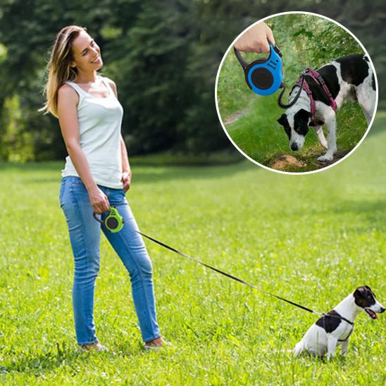 laisse pour chien rétractable - Museau dort
