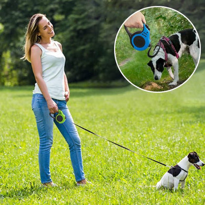 laisse pour chien rétractable - Museau dort