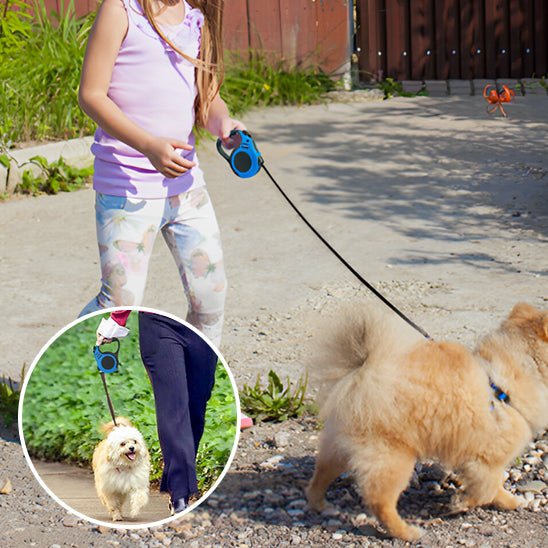 laisse pour chien rétractable - Museau dort