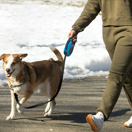 Homme qui marche avec son chien sur un trottoir habillé dans un ensemble coton ouaté vert en hiver