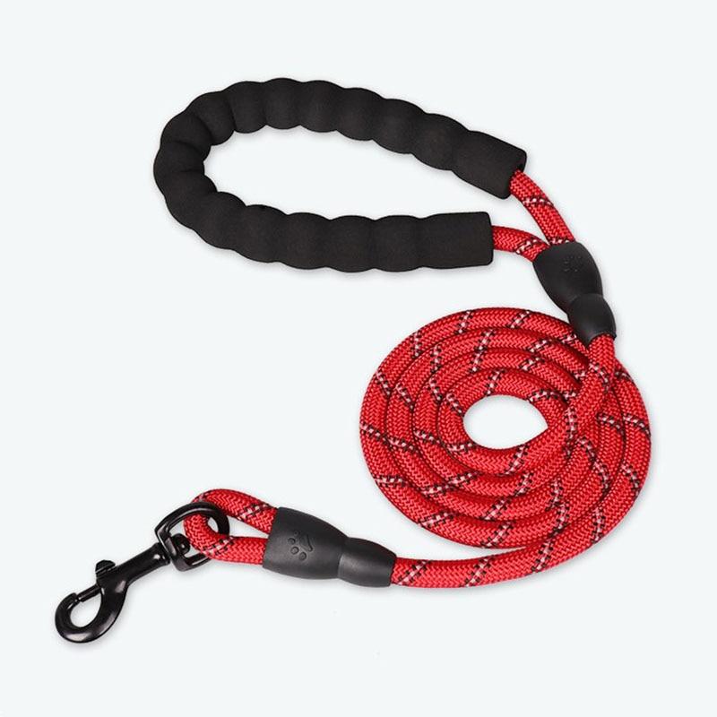 LaisseEduc™ - Corde en Nylon pour chien | Chien - Museau dort